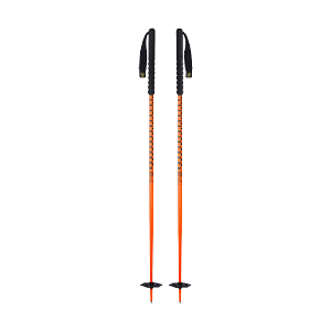 Ski poles